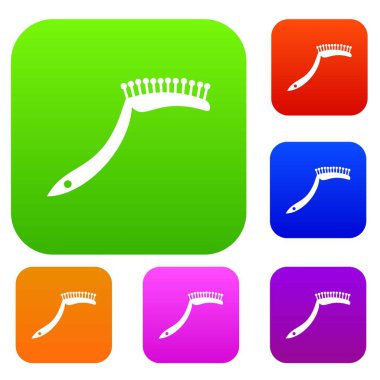 Evde beslenen hayvan tarak renk koleksiyonu ayarla