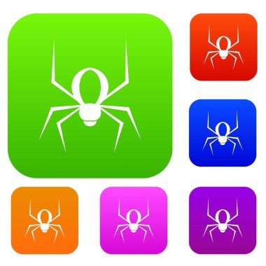 Örümcek renk koleksiyonu ayarla