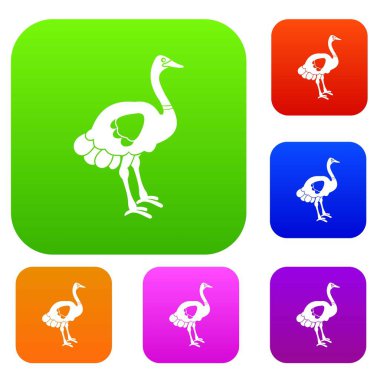 Devekuşu renk koleksiyonu ayarla