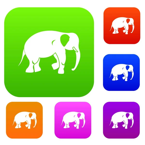 Elefánt készlet korlátozott különkiadások — Stock Vector