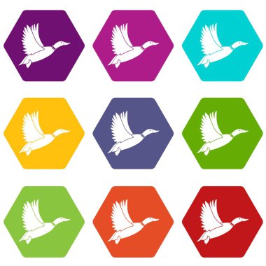 Renk altı yüzlü ördek Icon set
