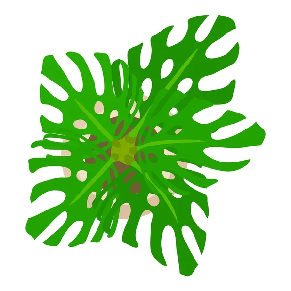 Icône végétale tropicale, style dessin animé — Image vectorielle