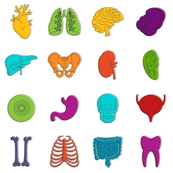 Mänskliga organ ikoner doodle set — Stock vektor