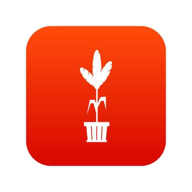 Dekorasyon bitki pot simgesi dijital kırmızı