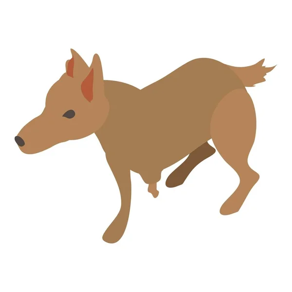 Gewonde hond pictogram, isometrische 3D-stijl — Stockvector