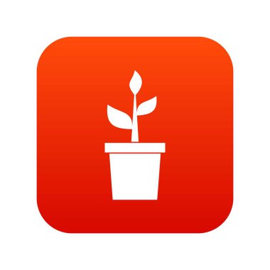 Kil pot simgesi dijital kırmızıyla bitki