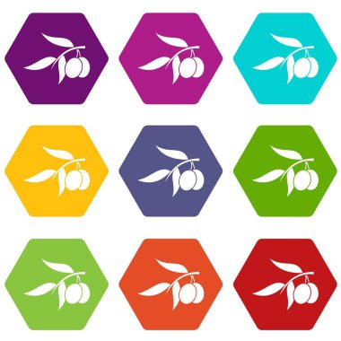 Zeytin ağacı dalı iki zeytin simgesi olan renk altı yüzlü ayarla