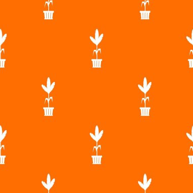 Dekorasyon bitki pot model sorunsuz