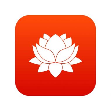 Nilüfer çiçek simgesi dijital kırmızı