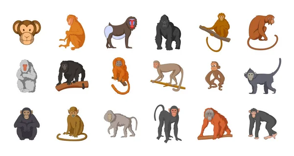 Conjunto de ícones de macaco, estilo cartoon —  Vetores de Stock