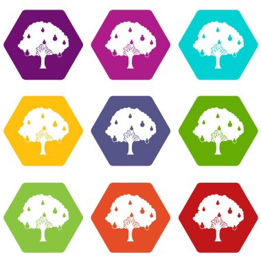 Armut Ağacı armut simgesi olan renk altı yüzlü ayarla