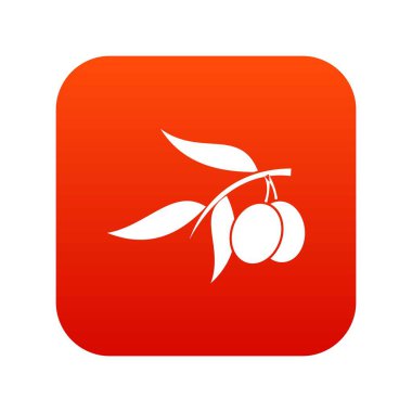Zeytin ağacı dalı iki zeytin simgesi dijital kırmızı