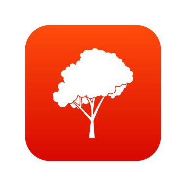 Ağaç yuvarlak bir taç dijital kırmızı simge