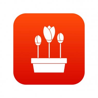 Kutusu simgesini dijital kırmızı laleler