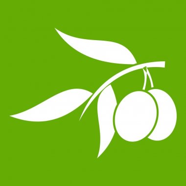 İki zeytin simgesi yeşil zeytin ağacı dalı
