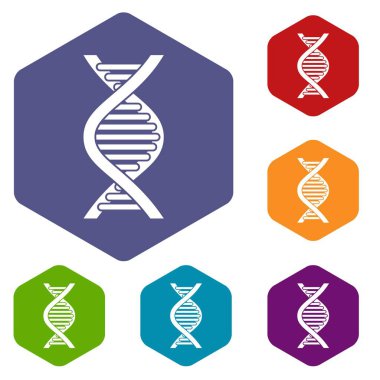 DNA iplikçik Icons set