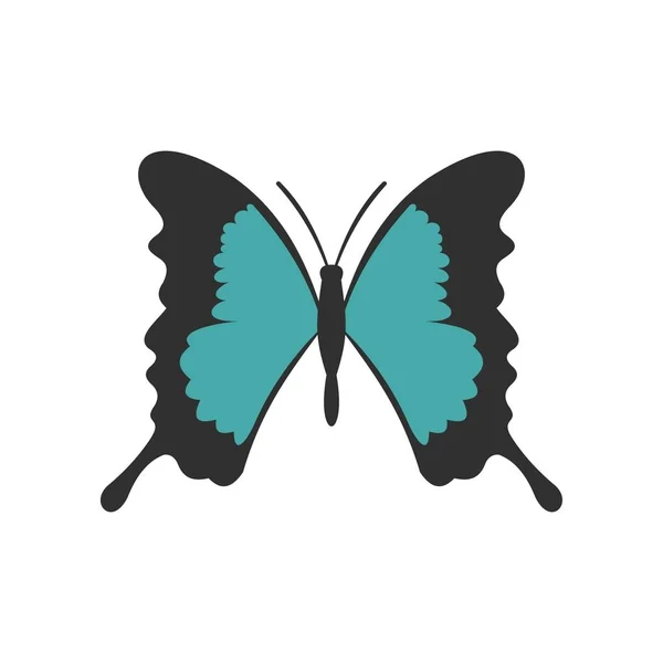 蝴蝶与长翅膀图标，平面样式 — 图库矢量图片