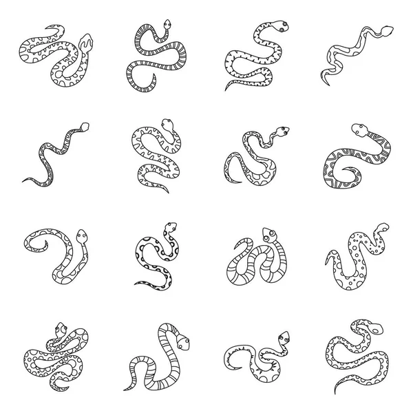 Ensemble d'icônes serpent, style contour — Image vectorielle