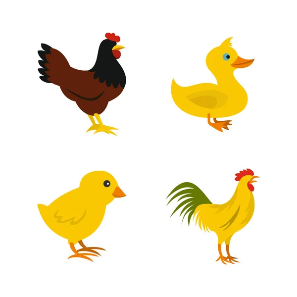 Domestic bird icon set, flat style — Stock Vector