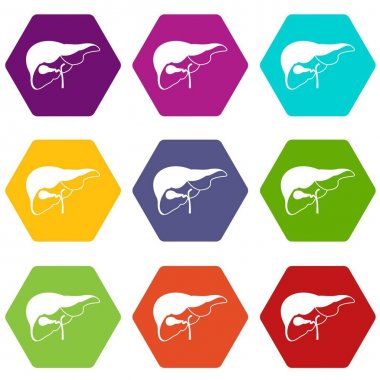 Renk altı yüzlü karaciğer Icon set