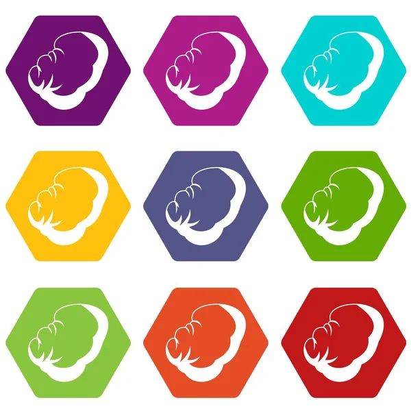 Spleen icon set couleur hexaèdre — Image vectorielle