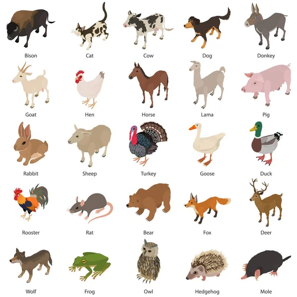 Conjunto de iconos de colección de animales, estilo isométrico — Vector de stock