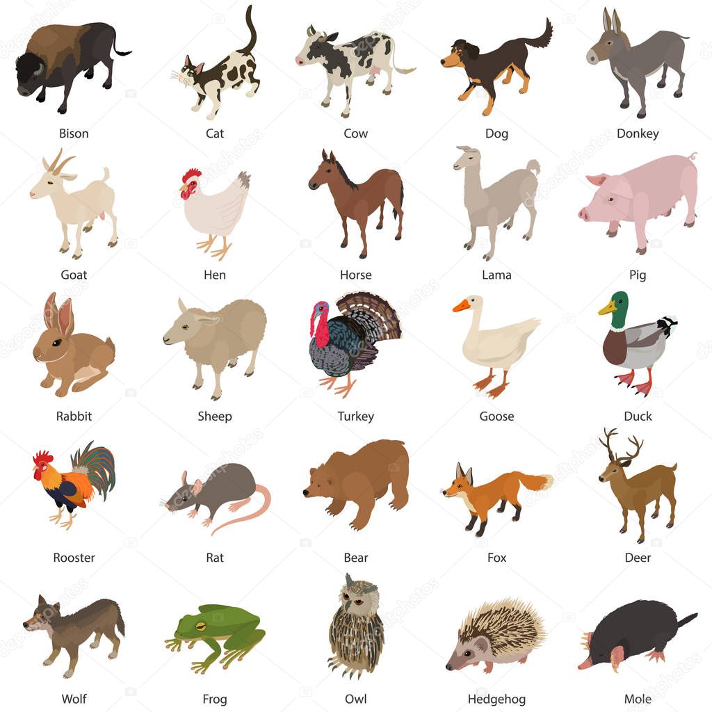 Animals collection icons set, isometric style