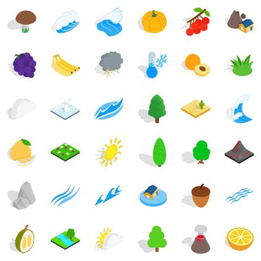 Palm Icons set, izometrik stili