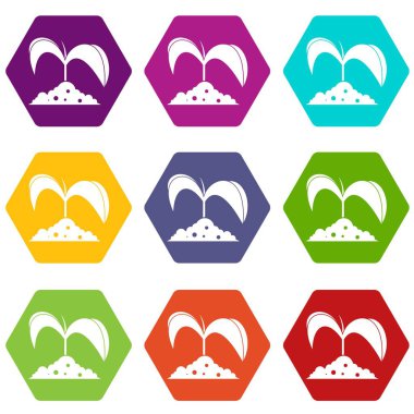 Toprak simgesi yeşil fide ayarla renk altı yüzlü