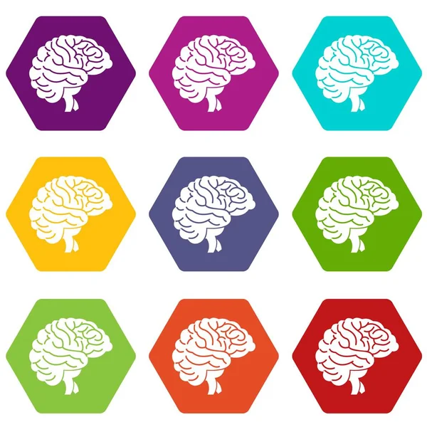 Brain icon set color hexahedron — Stock Vector