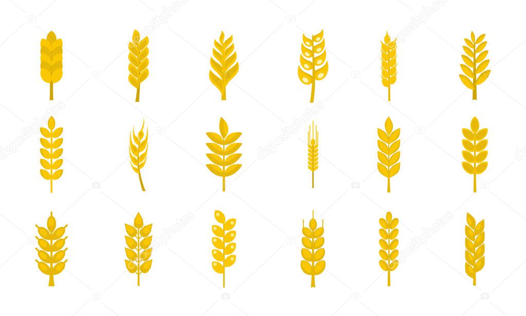 Wheat icon set, flat style
