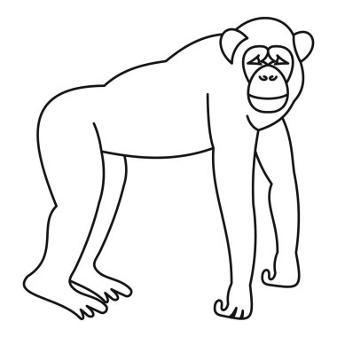 Marmoset maymun simgesi, anahat stili