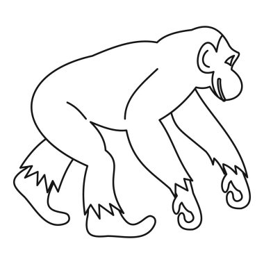 Maymun simgesi, anahat