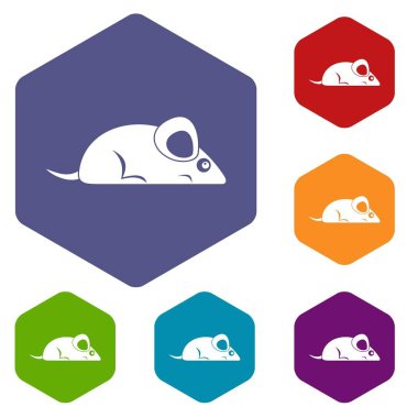 Altıgen evde beslenen hayvan fare Icons set