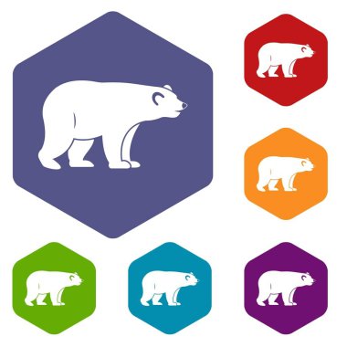 Altıgen vahşi ayı Icons set