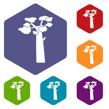 Altıgen Baobab Icons set