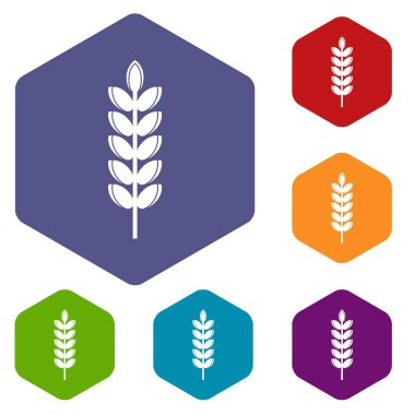 Altıgen büyük tahıl spike Icons set