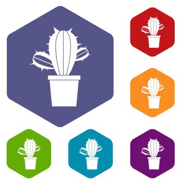 Kaktüs houseplants pot Icons altıgen ayarla