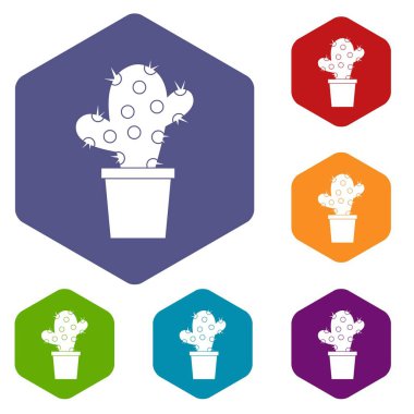 Altıgen kaktüs Icons set