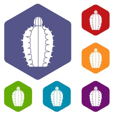 Altıgen çiçek açan kaktüs Icons set