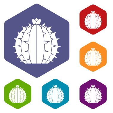 Altıgen Lophophora kaktüs Icons set