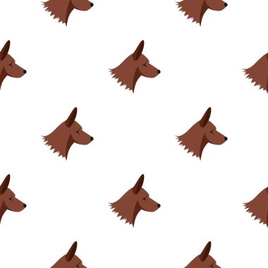 Collie köpek desen sorunsuz