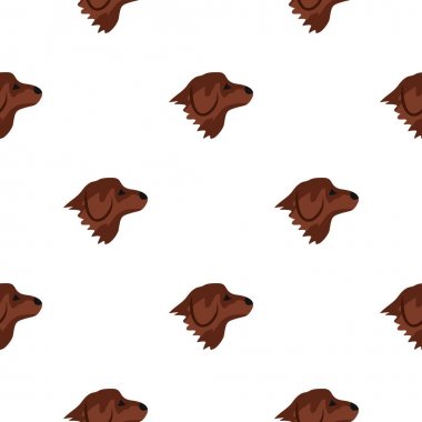 Retriever köpek desen sorunsuz