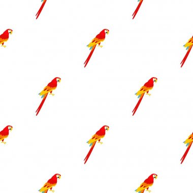Scarlet macaws desen sorunsuz