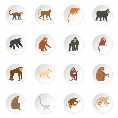Maymun türleri Icons set düz tarzı