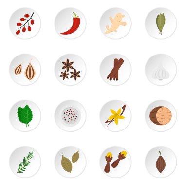 Düz stil baharat Icons set