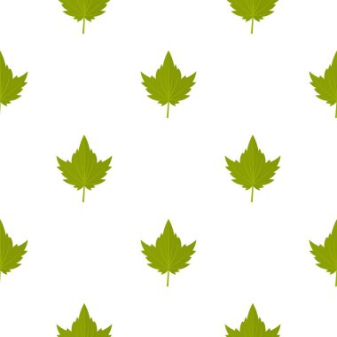 Yeşil Frenk üzümü yaprağı deseni sorunsuz