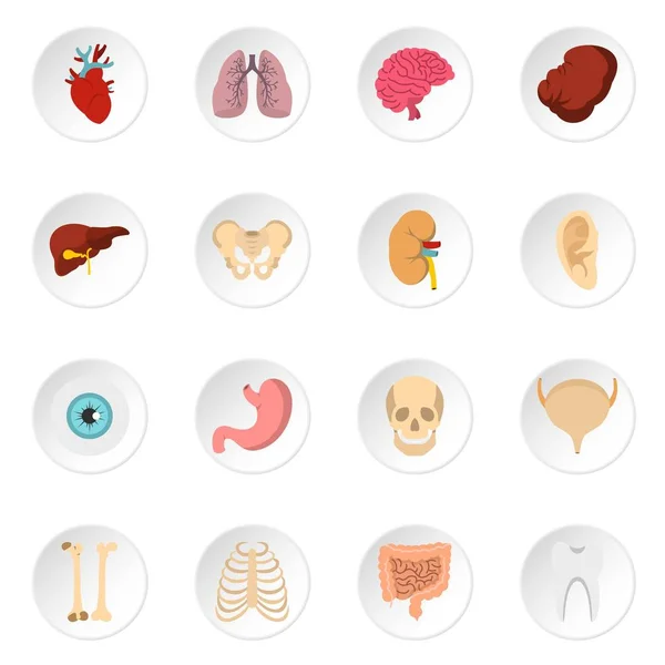 Organi umani impostare icone piatte — Vettoriale Stock