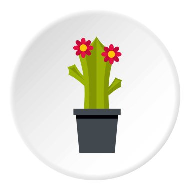 Kaktüs çiçek simgesi daire