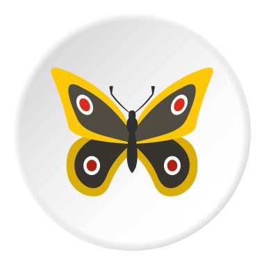 Küçük kelebek kutsal kişilerin resmi daire